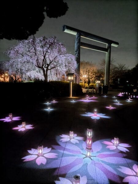 櫻木神社 しあわせの桜咲く 千葉県野田市